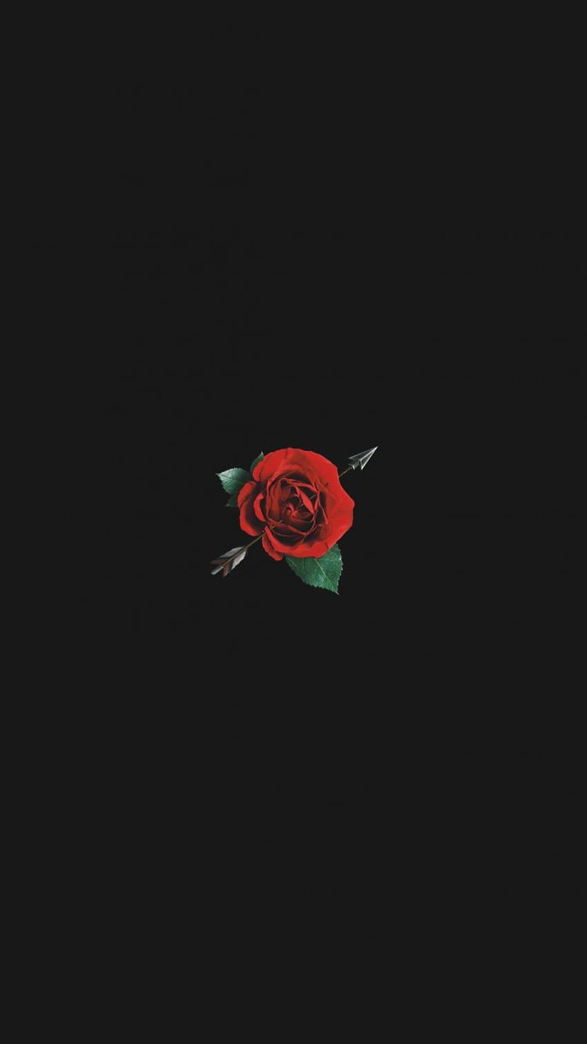 Dark Aesthetic Rose Blurry Rose [] for your , Mobile & Tablet. Explore ...