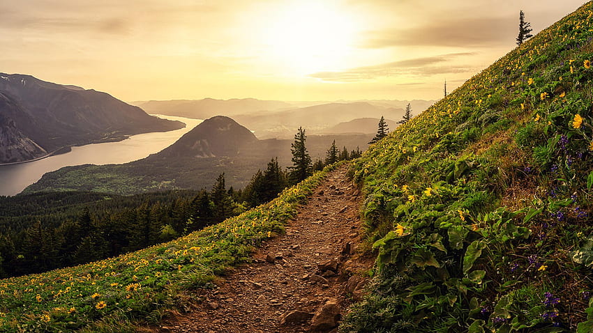 Spring is coming — Dog Mountain, Washington, path, trees, landscape, clouds, flowers, sky, sun, usa HD wallpaper