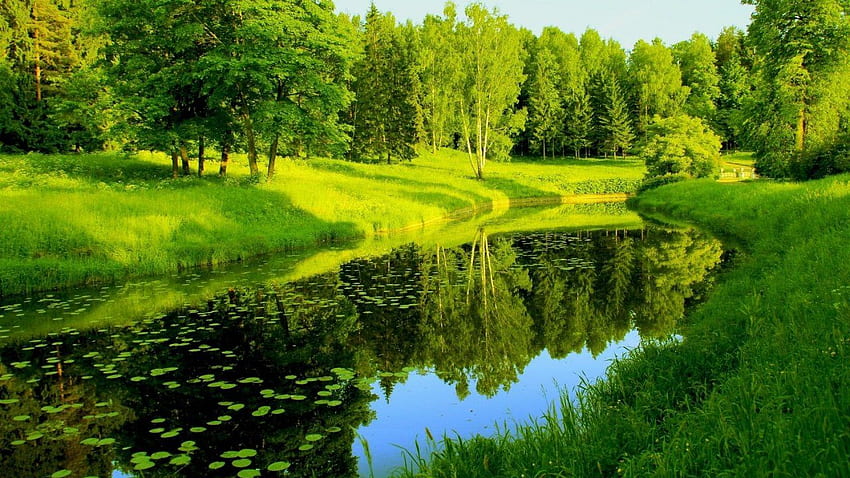 Greenery, Background , Landscape , Nature HD wallpaper | Pxfuel
