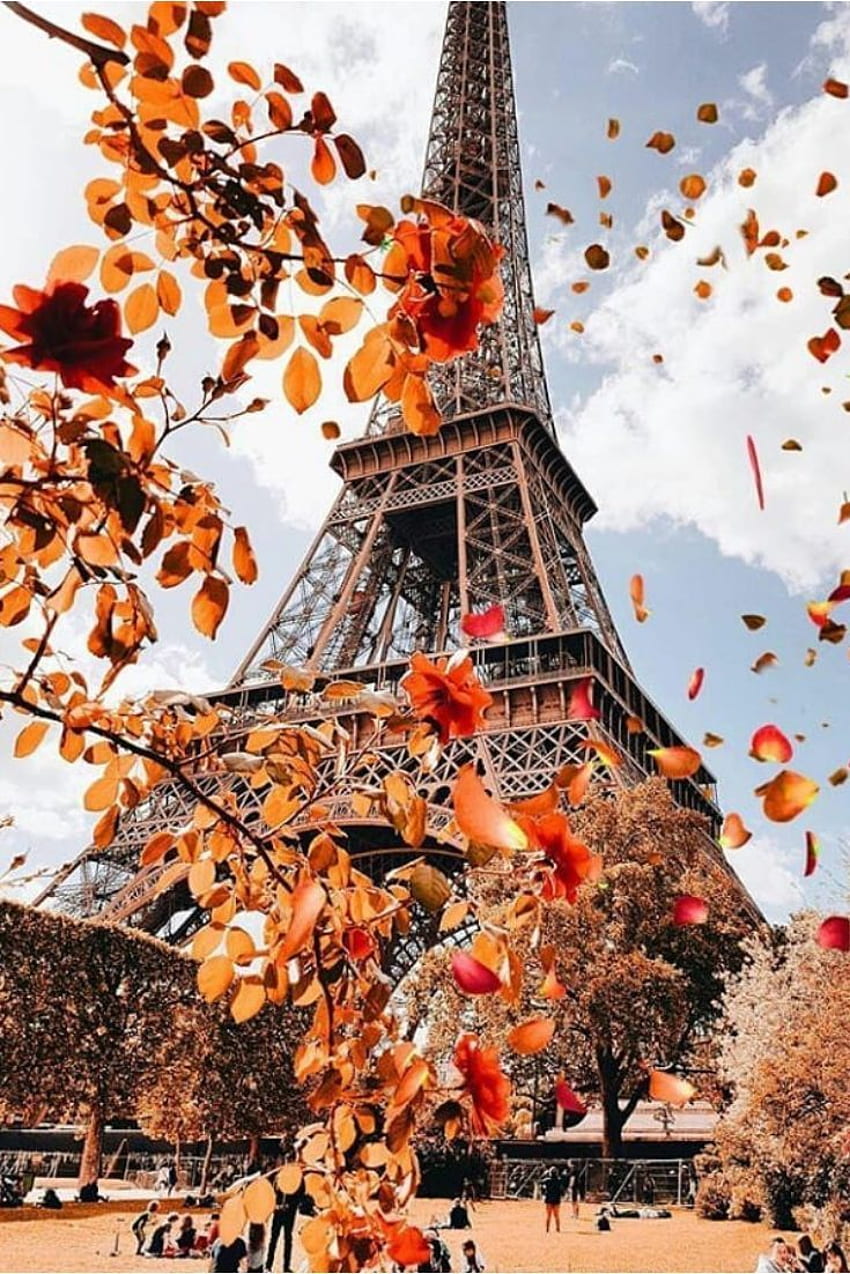 París, Francia, París, Torre Eiffel, Francia Otoño fondo de pantalla del teléfono