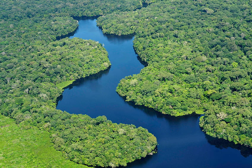 Rio delle Amazzoni e - del Rio delle Amazzoni, Amazonas Sfondo HD