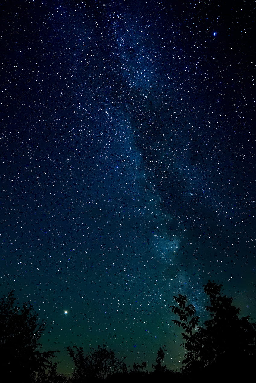 Природа, дървета, звезди, нощ, звездно небе, нощно небе HD тапет за телефон