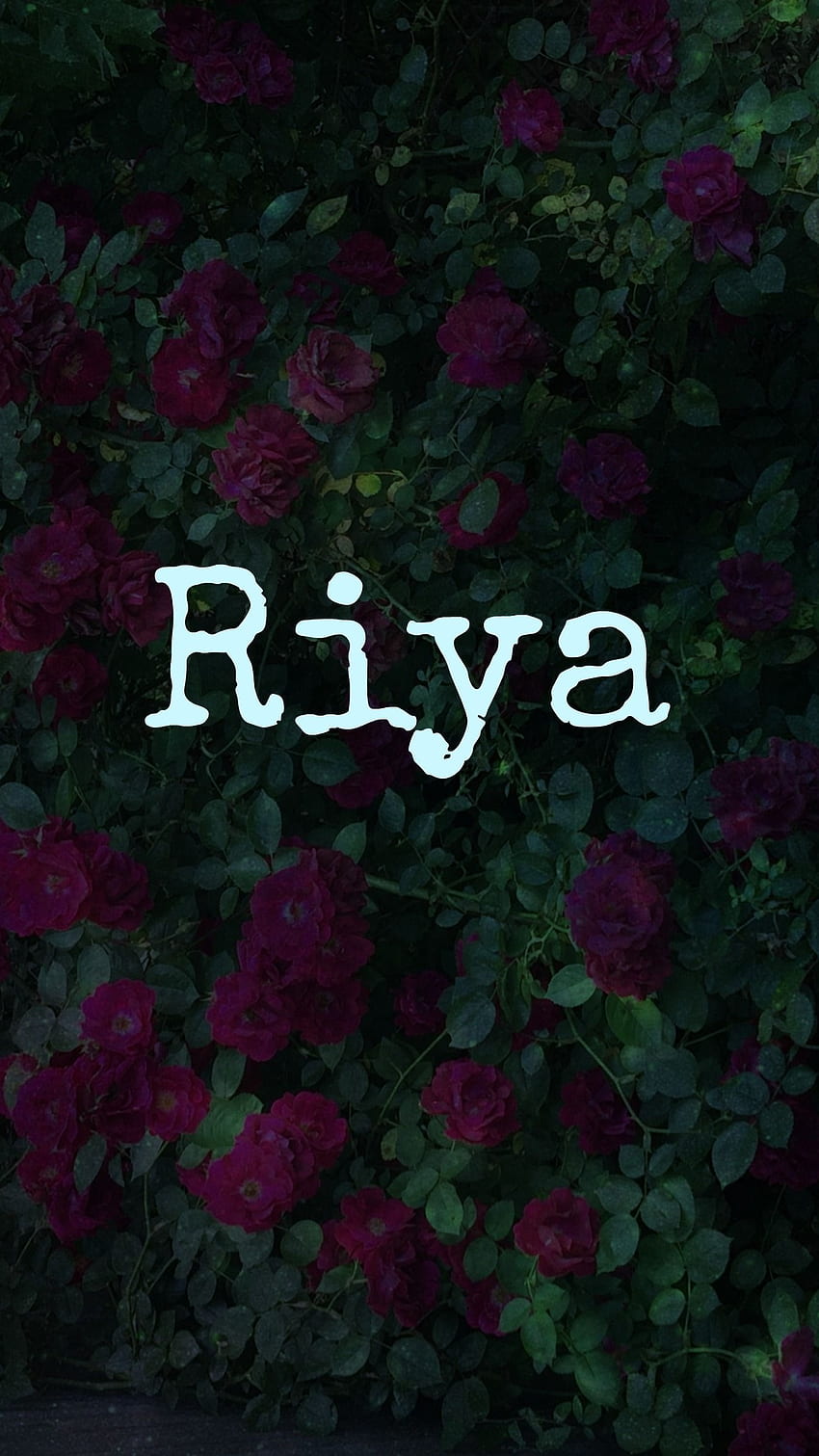 R Name, Dark Theme, Riya HD phone wallpaper | Pxfuel