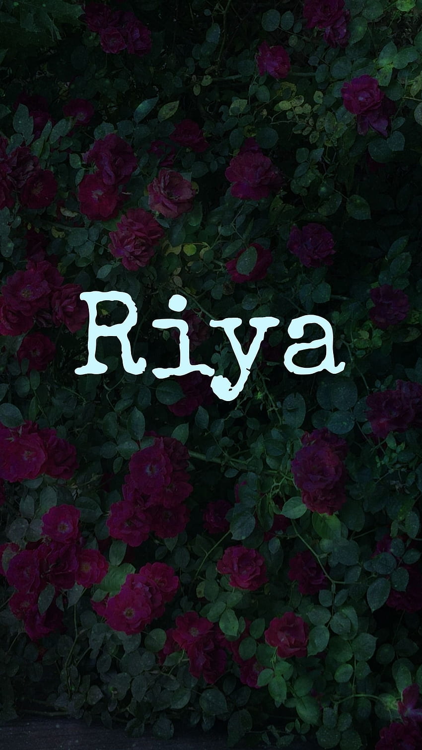 R Name, Dark Theme, Riya HD phone wallpaper