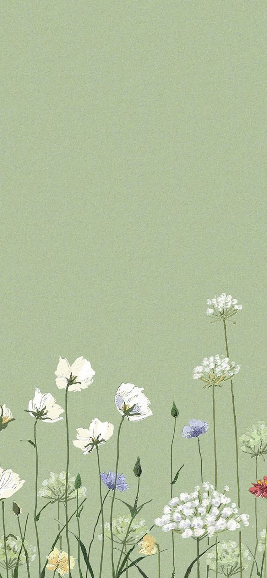 Flores, pétalos, verde fondo de pantalla del teléfono