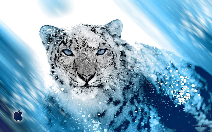 Mac Os X Kar Leoparı - Havalı Kar Leoparı HD duvar kağıdı