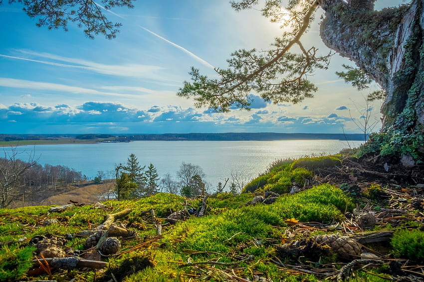 nature, Landscape, Summer, River, Trees, Grass, Clouds, Sunlight, Sky, Sweden / and Mobile Background, Swedish Landscape HD wallpaper