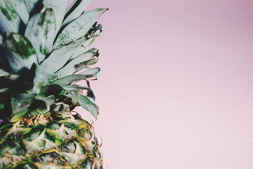Food, Minimalism, Fruit, Pineapple HD wallpaper