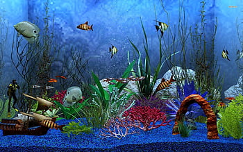 Cá là một loại động vật sống đầy màu sắc và đa dạng. Hãy xem hình ảnh về cá để thấy cách chúng đem lại niềm vui và sự bình yên cho cuộc sống của bạn.