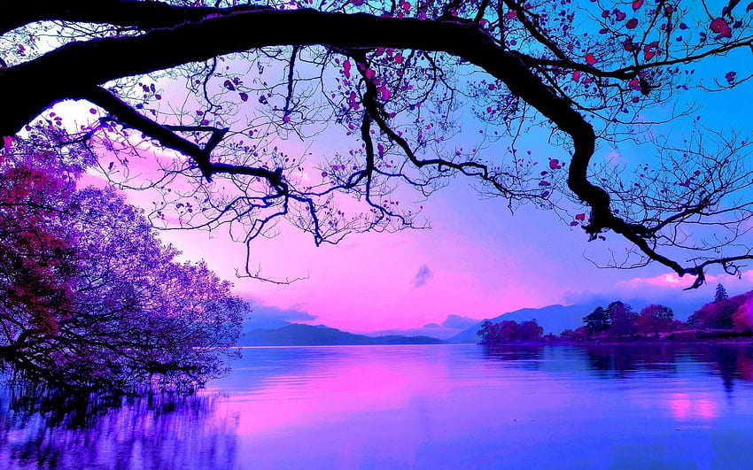 Pink Sunset Over the Lake -, Blue Pink Sunset HD wallpaper | Pxfuel