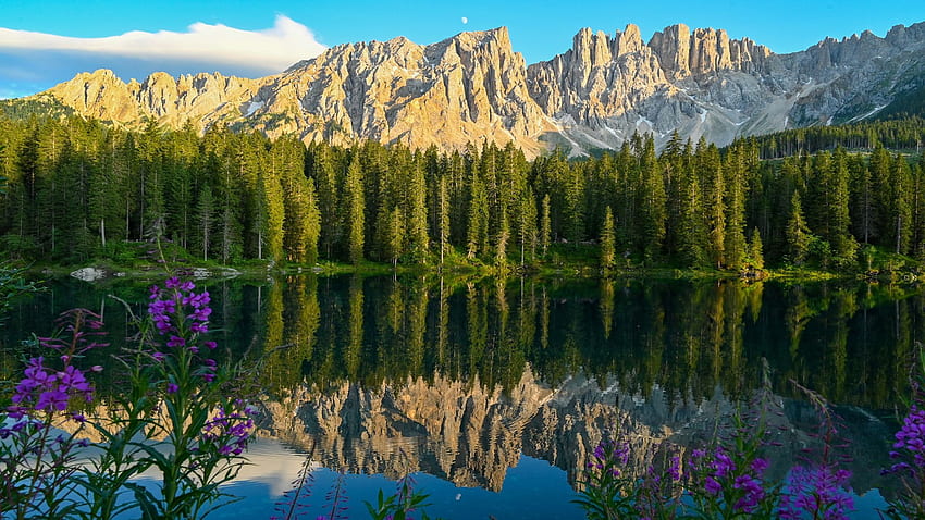 Lake Carezza, South Tyrol, Italy, mountains, reflection, water, dolomites, trees, sky HD wallpaper