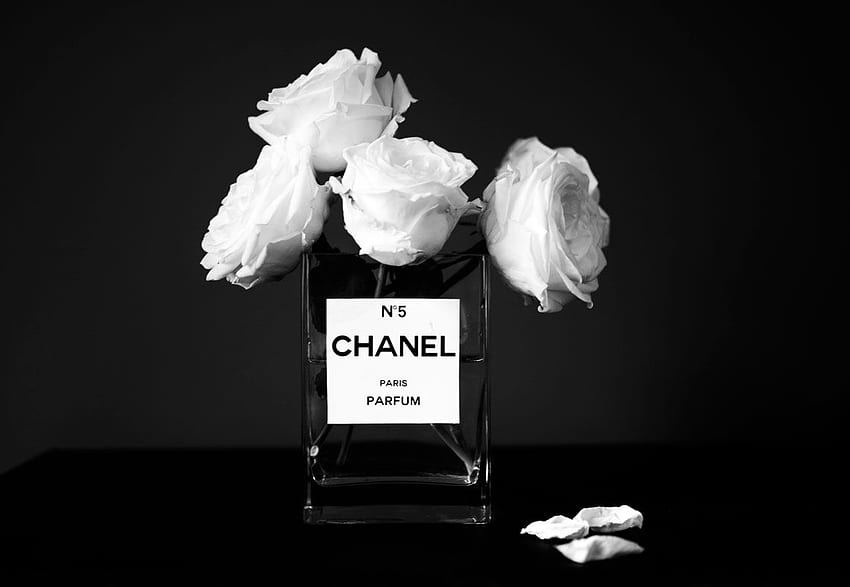 ชาแนลหมายเลข 5 . Chanel Tumblr, Girly Chanel และ Chanel, Chanel Roses วอลล์เปเปอร์ HD