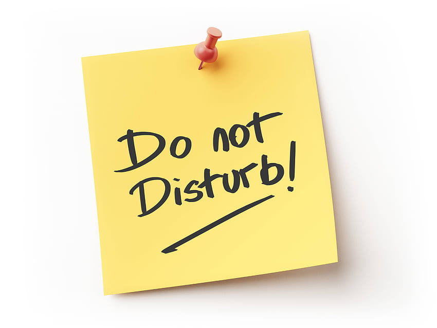 Please Do Not Disturb I Am Disturbed Enough Already Do Not Disturb Me HD  phone wallpaper  Pxfuel