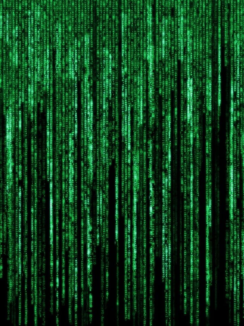 Matrix - , Matrix Background on Bat, Green Matrix HD phone wallpaper |  Pxfuel