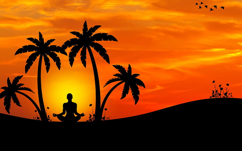 meditation, yoga, silhouette, palm trees, harmony ultra 16:10 background HD wallpaper