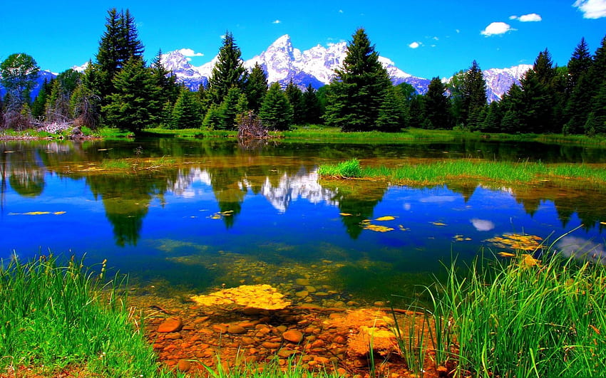 Landschaft, Natur, See, Vegetation HD-Hintergrundbild