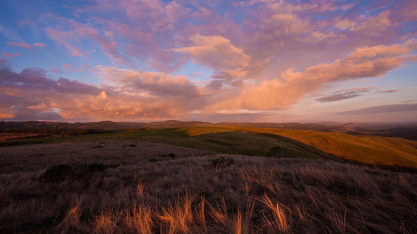 Majestatyczne chmury nad złotymi źdźbłami trawy. [ ]. Pole , Motyw , Piękne krajy Tapeta HD