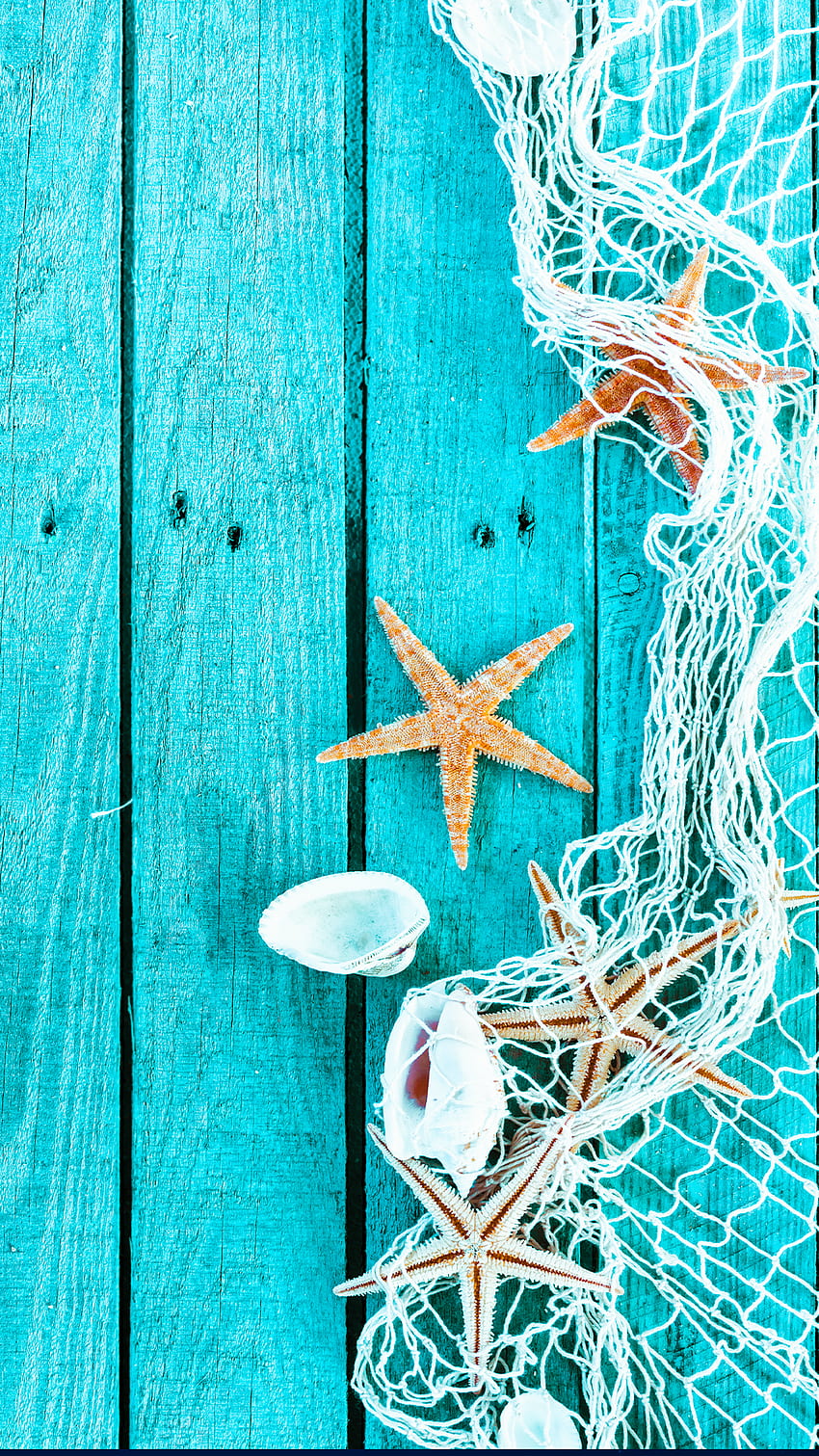 Ƒ↑TAP DAN DAPATKAN APLIKASINYA! Art Creative Sea Star Blue Wood Shell iPhone 6 Plus . Musim panas, iphone musim panas, iPhone wallpaper ponsel HD