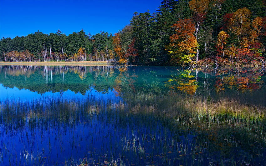 Natur, Wasser, Bäume, Gras, Himmel, See, Spiegelung, Ufer, Ufer, September HD-Hintergrundbild