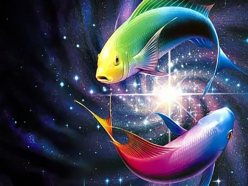 Rainbow Fishes, colorful, fish, rainbow HD wallpaper
