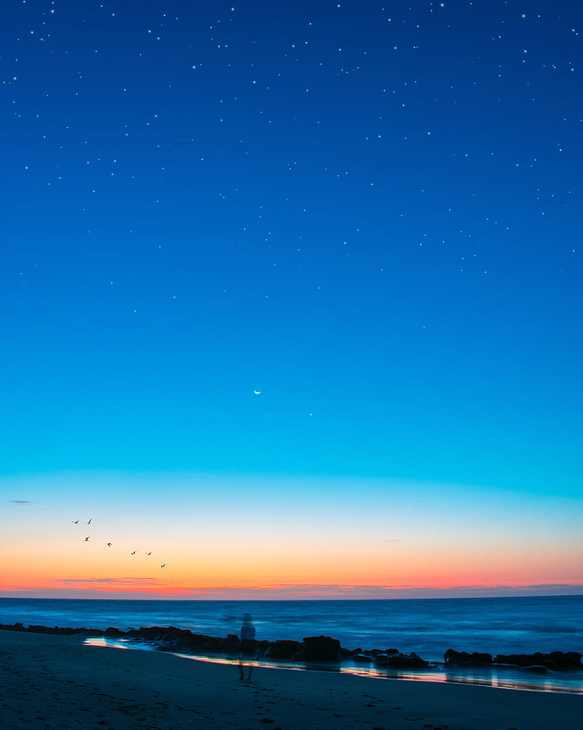Nature, Sunset, Twilight, Beach, Coast, Silhouette, Dusk HD phone wallpaper