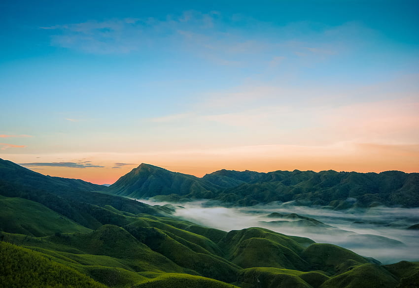 Dolina Dzukou, Indie, natura, mgła Tapeta HD