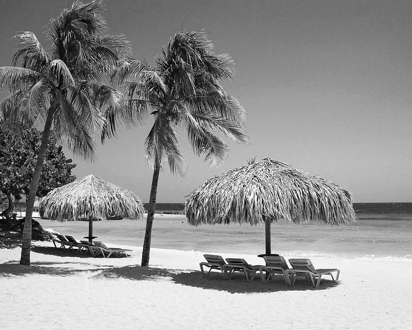 Black and White Black and White Beach Landscape [] for your , Mobile & Tablet. Explore Black and White Beach . Black and Red HD wallpaper