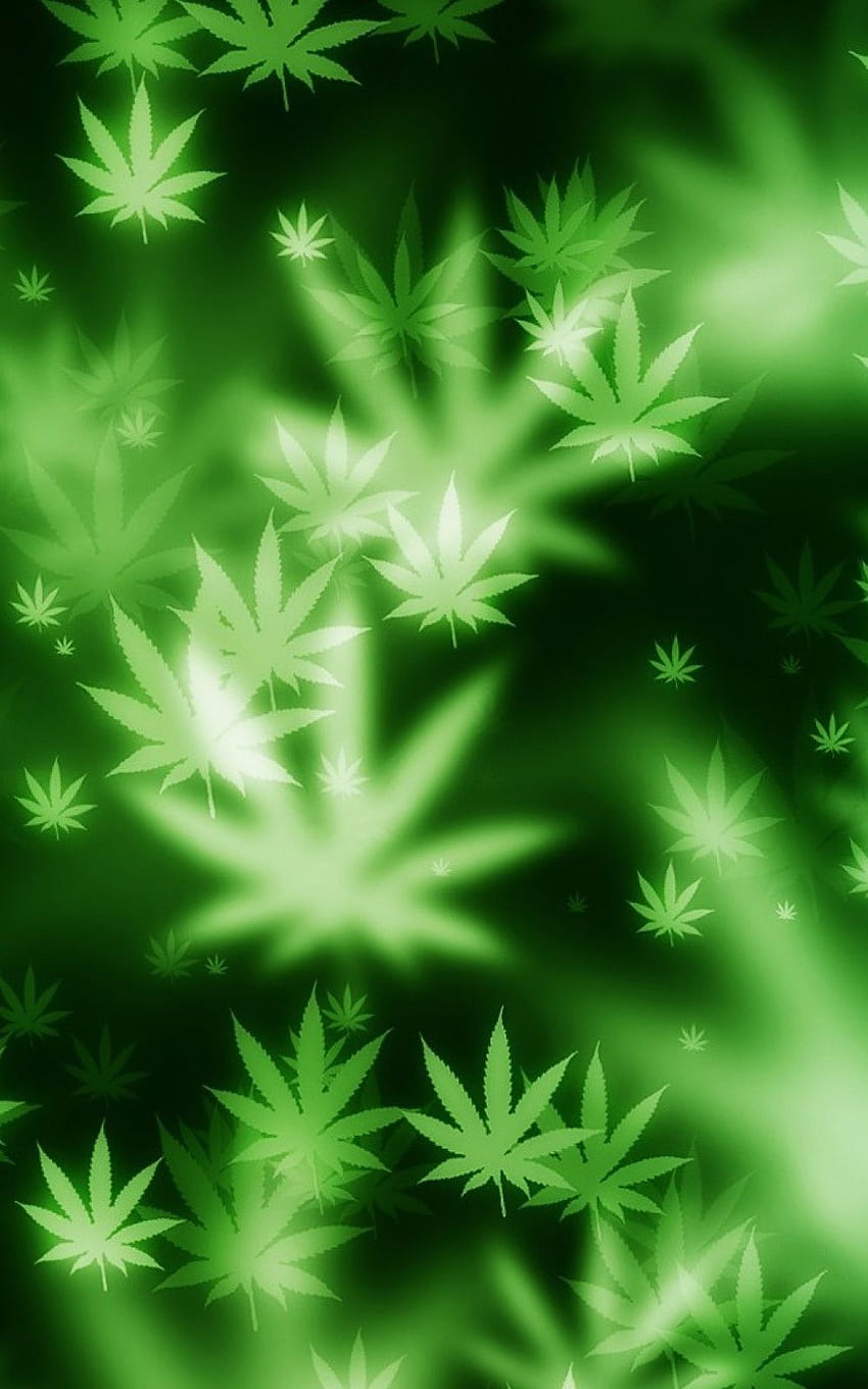 Bokeh Marijuana Android, Weed HD phone wallpaper