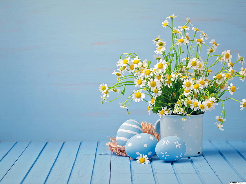 Easter Flower Pot & Easter Eggs, Easter Floral HD wallpaper