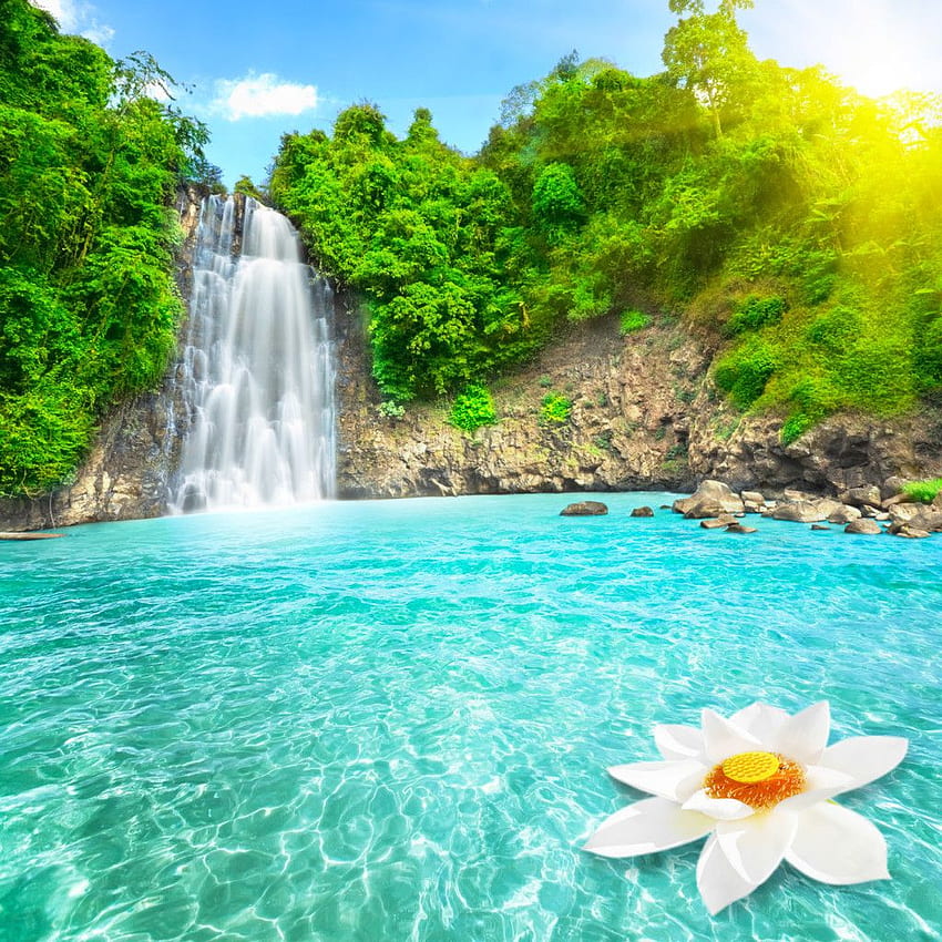 Beautiful Waterfall Nature [] para o seu celular e tablet. Explore a bela cachoeira. Cachoeira para, das Cachoeiras, Cachoeira Mais Bonita, Cachoeira Incrível Papel de parede de celular HD