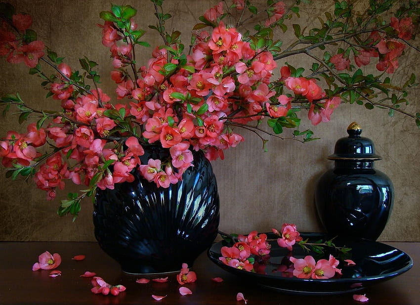 Flowers, Petals, Branches, Bloom, Flowering, Plate, Vase, Spring HD wallpaper