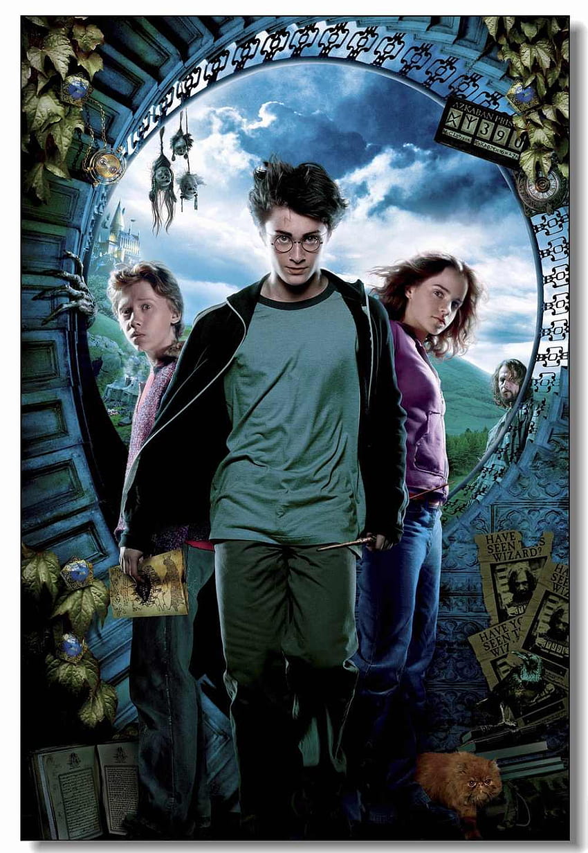 Benutzerdefinierte Leinwand Wandtattoo Harry Potter Sirius Schwarz - Harry Potter HD-Handy-Hintergrundbild