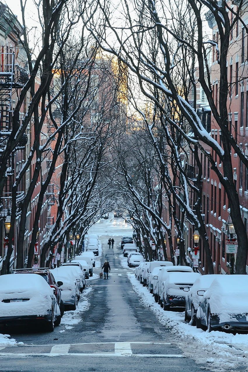Bostonian Resolution. Winter scenery, Wonders of the world, Outdoor, Boston Snow HD phone wallpaper