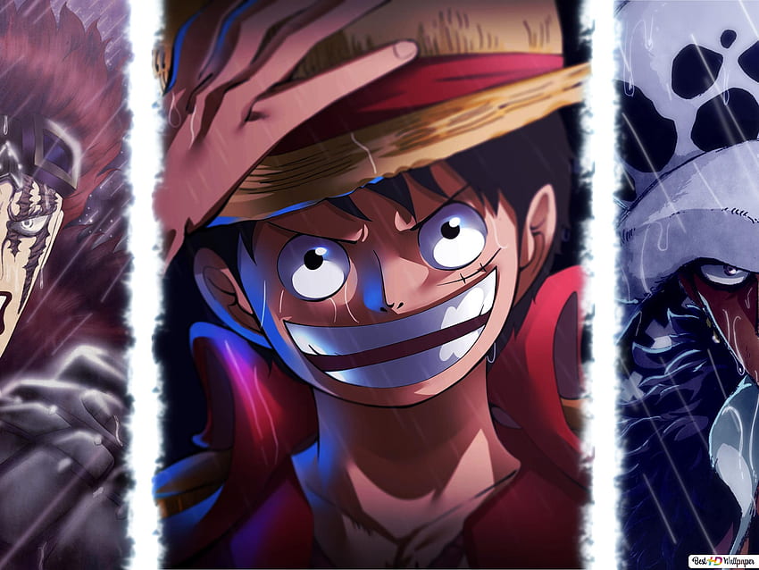 Hình nền Anime One Piece HD về Worst Generation - một nhóm hải tặc mới giàu tính cách và tài năng - sẽ làm bạn khám phá không gian hải tặc đầy thử thách và đầy màu sắc. Với đa dạng tính cách của từng thành viên, bạn sẽ có những trải nghiệm mới lạ về thế giới One Piece.