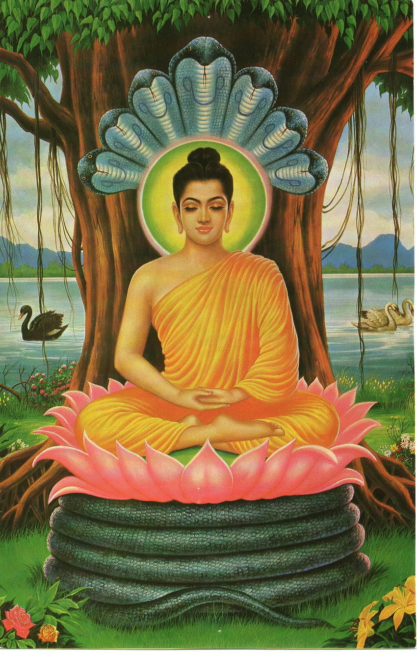 7: Buddha Gautama, Buda Gautama wallpaper ponsel HD