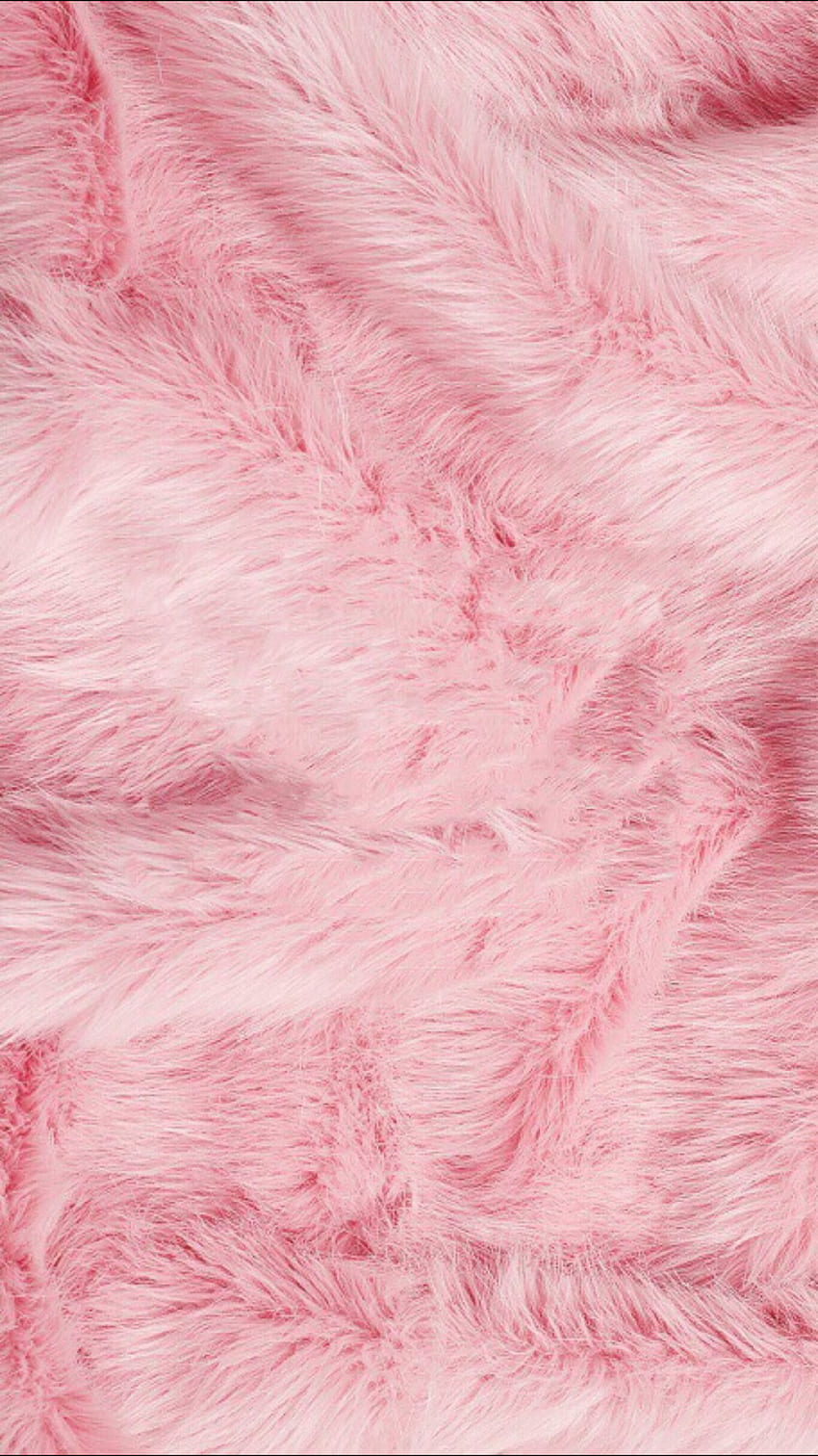 Pinknation Pink Nation Pinterest , Phone And - Pink, Fur HD phone wallpaper