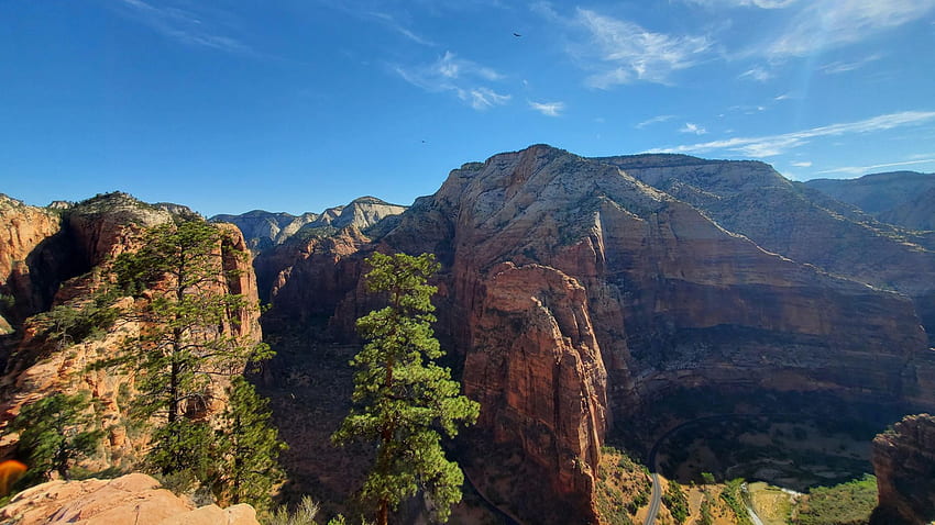 ザイオン国立公園、ユタ州、風景、木、空、岩、山、アメリカの天使の着陸道の頂上で撮影 高画質の壁紙