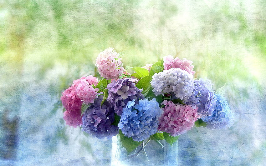 Hydrangea, artwork, still life, petals, blossoms, vase, flowers, bpuquet HD wallpaper