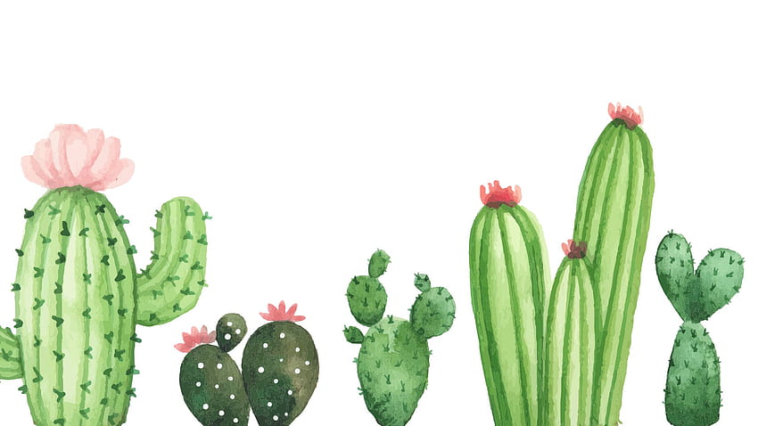 kaktus do komputera. Akwarela, roślina, pastelowe tło, różowy kaktus Tapeta HD