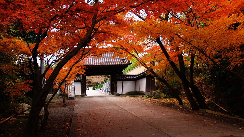 日本の風景、日本の秋 高画質の壁紙