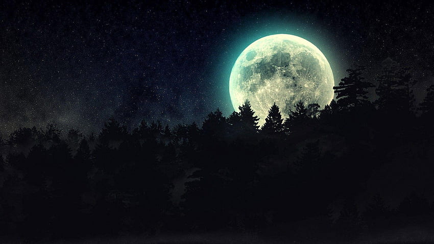 Dunkler Wald mit Mond, Mondscheinwald HD-Hintergrundbild