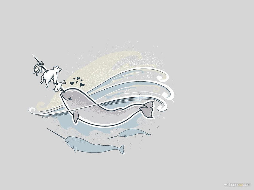 Narwhal Wallpapers  Wallpaper Cave