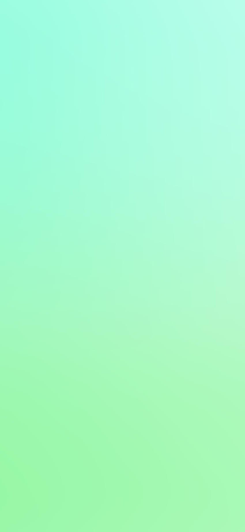 IPhone verde menta, menta y blanco fondo de pantalla del teléfono | Pxfuel