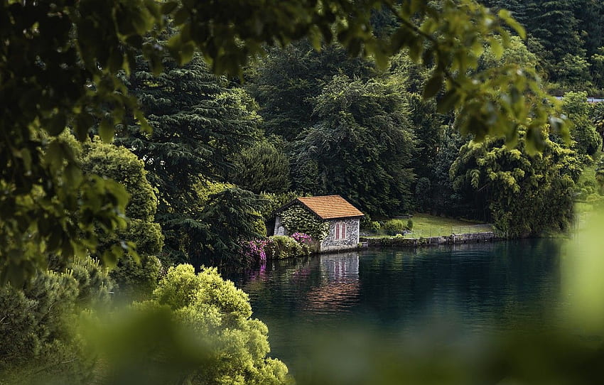 house, trees, water, flowers, lake, landscapes, bushes, comfort, blur, reflection, pond for , section пейзажи HD wallpaper