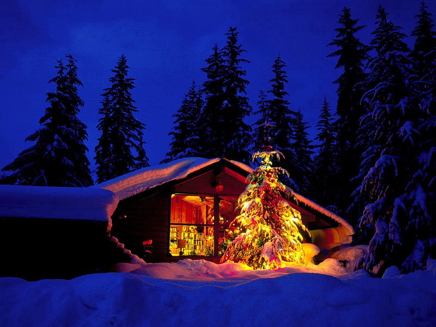 휴일, 새해, 조명, 크리스마스, 집, 창, 보기, 크리스마스 트리 HD 월페이퍼