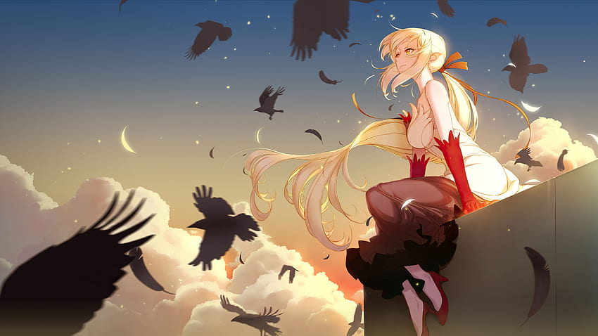Monogatari Series Anime Girls Oshino Shinobu Resolution , , Background, and HD wallpaper