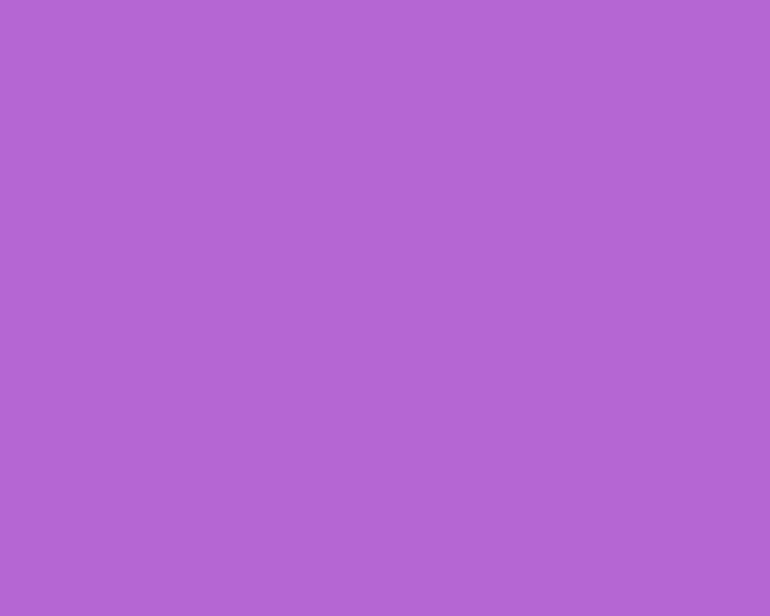 Latar Belakang Ungu. Lilac , Lilac, Warna Lilac Wallpaper HD