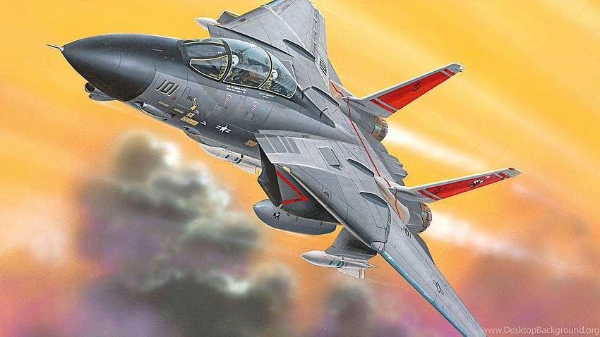 グラマン F 14 Tomcat 背景、F14 Tomcat 高画質の壁紙