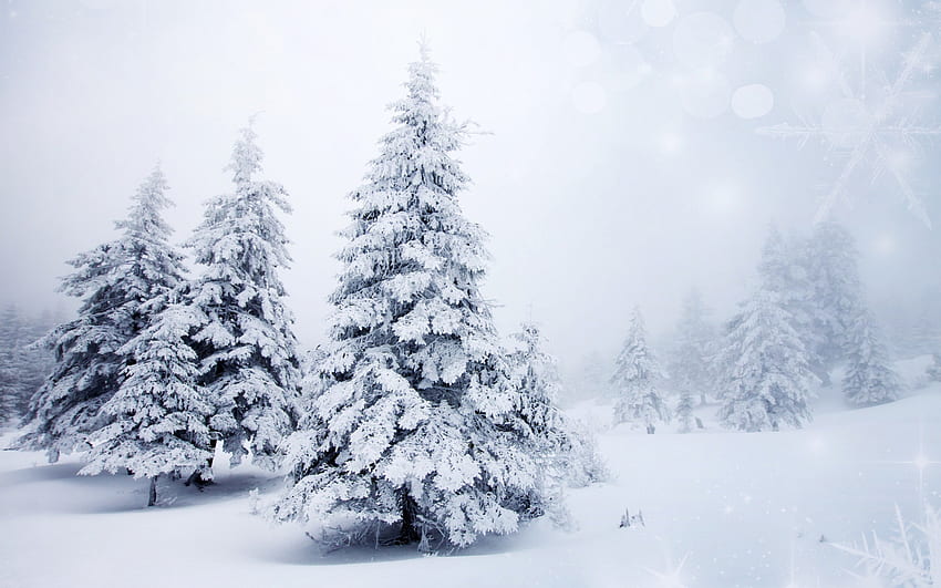Inverno, nevoso, splendore invernale, paesaggio, neve, alberi, cravatta invernale, natura, montagne, splendore Sfondo HD