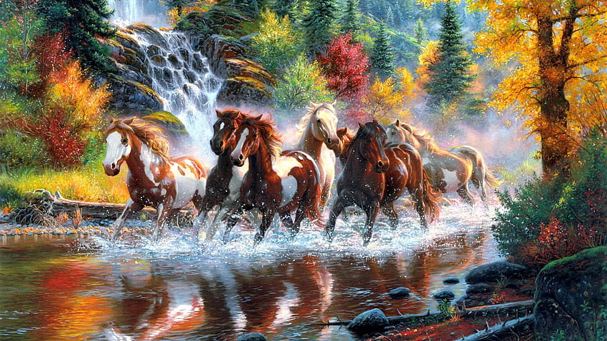 Troupeau de chevaux sauvages en rivière Fond d'écran HD